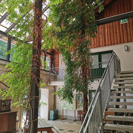 Landhotel Schaferhof Langenstein Ngoại thất bức ảnh
